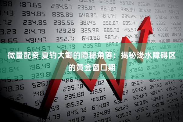 微量配资 夏钓大鲫的隐秘角落：揭秘浅水障碍区的黄金窗口期