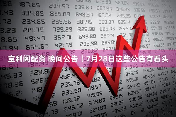宝利阁配资 晚间公告丨7月28日这些公告有看头