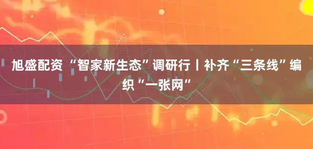 旭盛配资 “智家新生态”调研行丨补齐“三条线”编织“一张网”