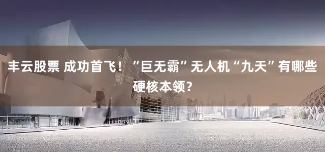 丰云股票 成功首飞！“巨无霸”无人机“九天”有哪些硬核本领？